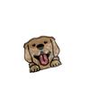 Puppy Cartoon Dog Hair Claw Acrylic Hair Clip Chihuahua Small Shark Clip  Woman