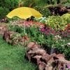 Plant Shade Umbrella Garden Sunshade Umbrella UPF50 UV Protection Adjustable Portable Canopy Foldable Cover for Flowers Potted