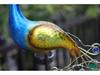 Waterproof LED Solar Peacock Lawn Light: Metal Art Garden Decoration