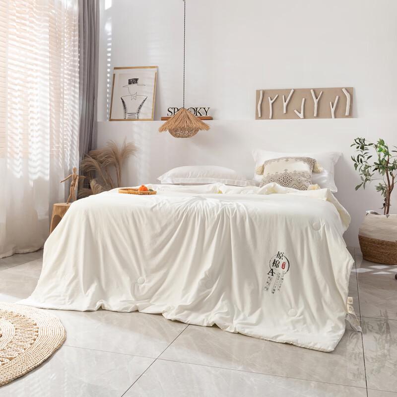 

Soybean Fiber Blend Summer Air Conditioner Quilt