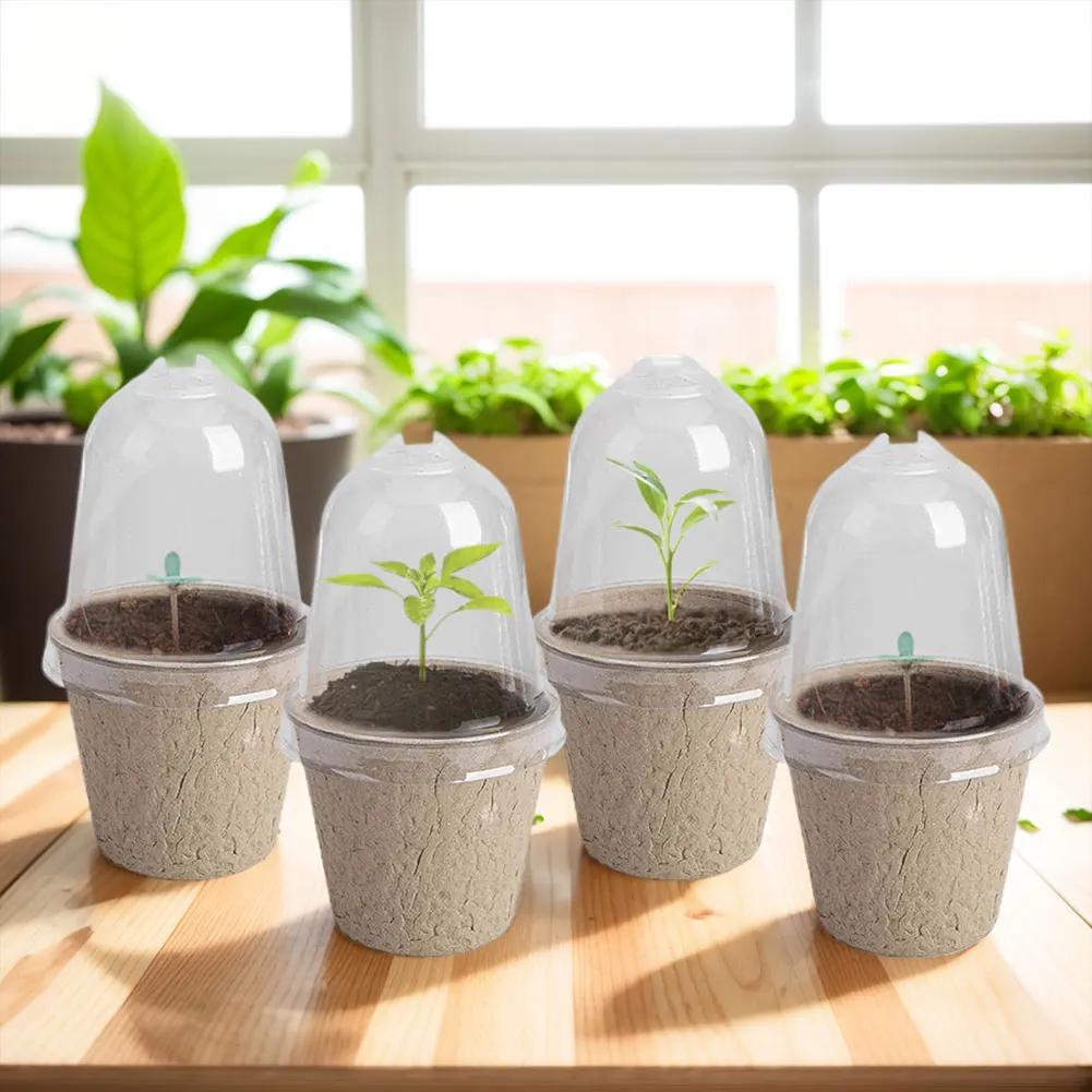 10 buc. ghiveci de cultivare cu capac transparent cutie de reproducere in sera cutie de crestere a plantelor biodegradabile consumabile pentru gradinarit