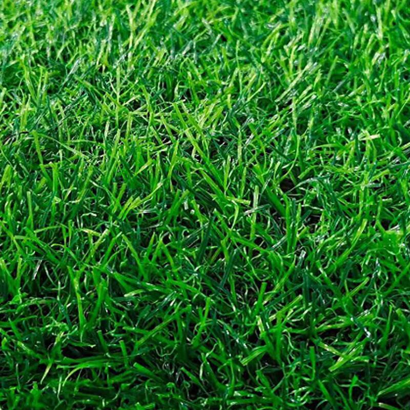 Tachen 3cm Thick Outdoor Training Mat