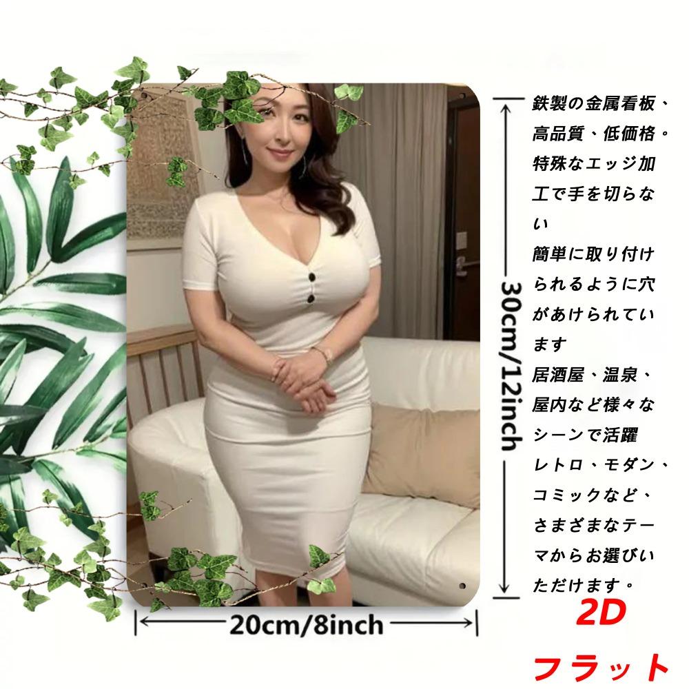 Retro Japanese Metal Wall Sign 8x12 Inch Vintage Iron Art Plaque