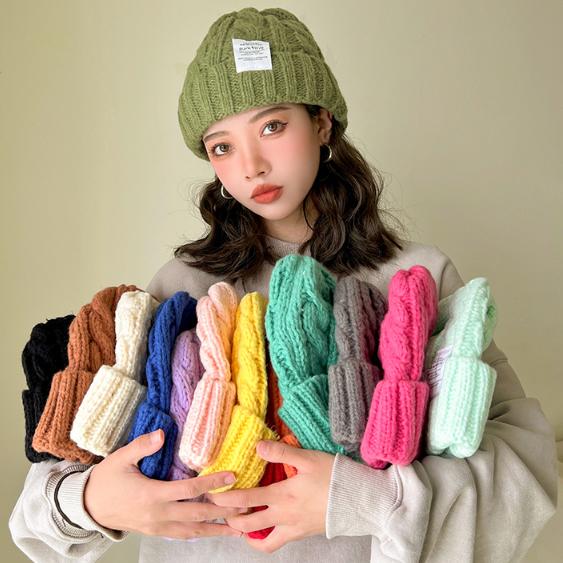 New Women's Winter Hat Beanie Hats For Women Knit Cap Fashion Warm Wool Couple Cap Bonnet Woman Winter Twist Female Bonnet