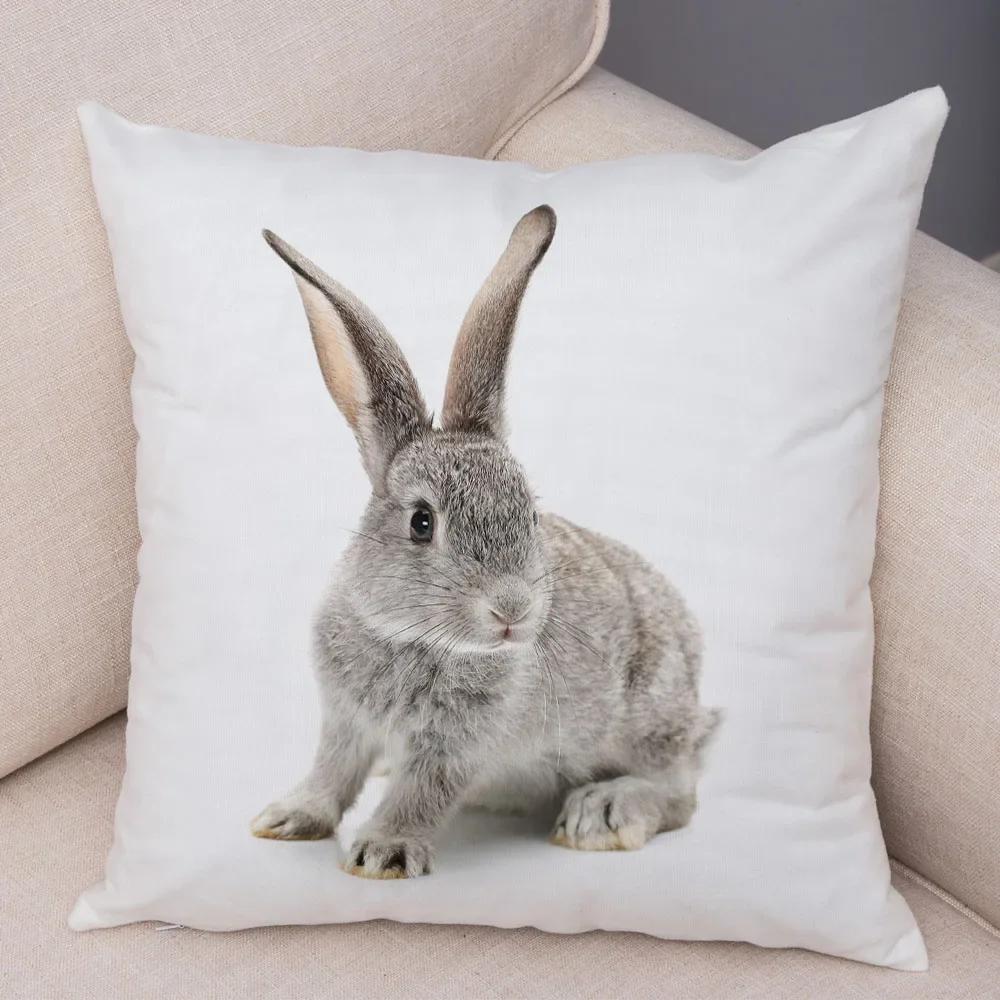 Home Sofa Kids Room Decor Cute Pet Animal Print Cushion Cover Pillowcase  Rabbit