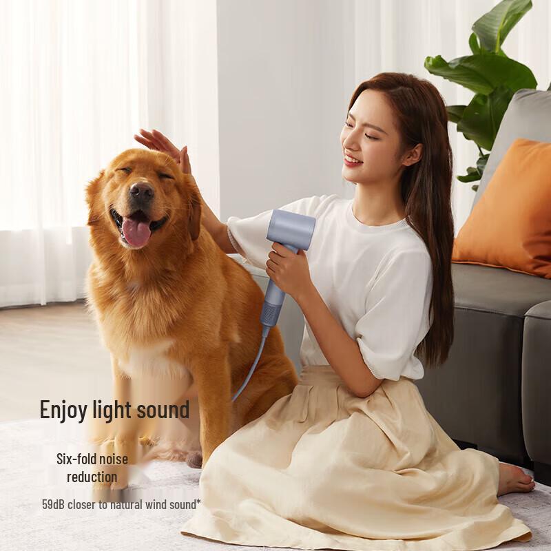 Laifen LF03 High-Speed Negative Ion Hair Dryer CN plug (adapter included)