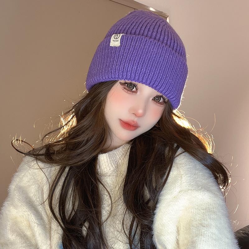 New Knitted Hat for Women In Autumn and Winter Korean Style Versatile Warm Wool Hat Cute Face Protecting Cold Hat