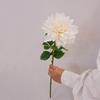 1Pc Moisturizing Real Touch Dahlia Flowers Aritificial Latex Flower Decoration Wedding Home Living Room Event Party Dahlia Flore