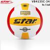 Star Size 5 Training Volleyball