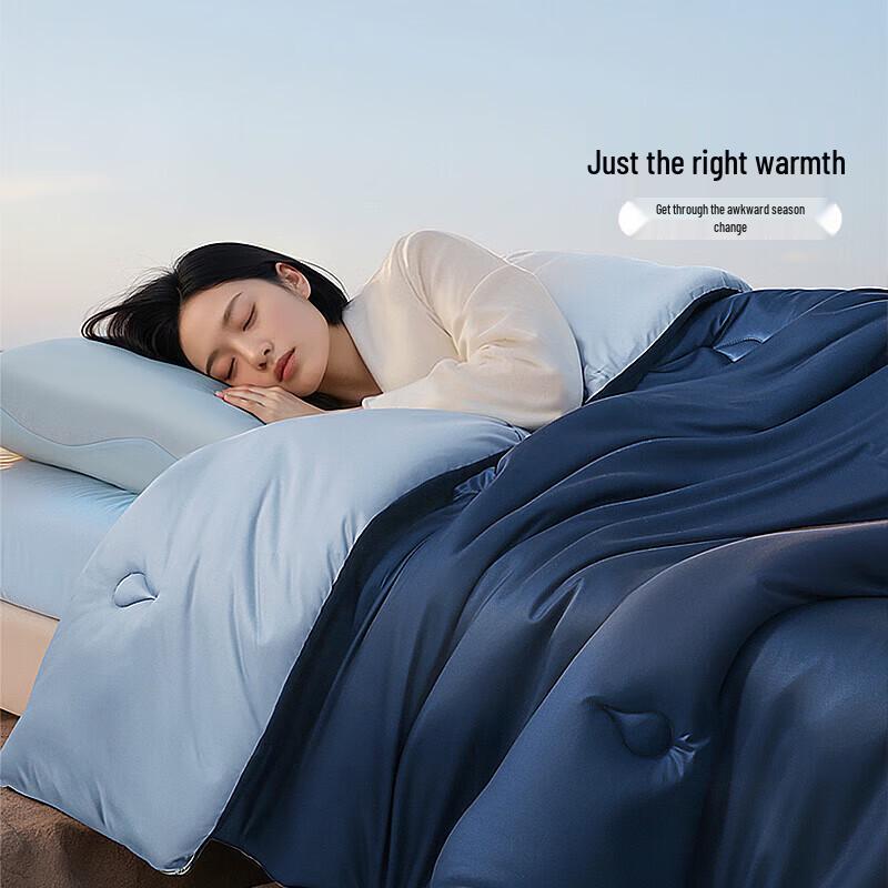 FUANNA Smart Core All-Season Temperature Control Quilt