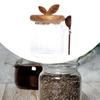 Airtight Glass Container with Wooden Lid for Food Storage