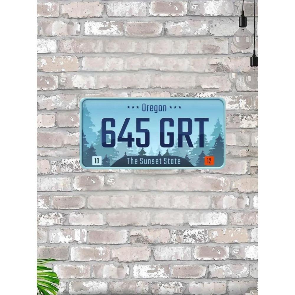 NÁS. registrační značka, USA. SPZ, kovová, 15x30 cm.