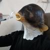 Realistic Latex Fish Masks for Adults Animal Head Mask Halloween Costume Headwear Props Masquerade Party Dress Up Decors