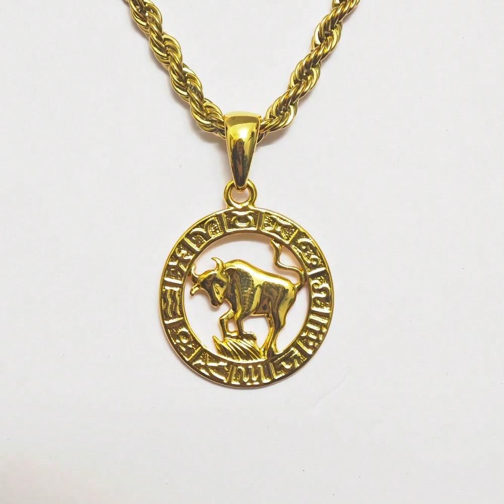 12 Constellation Astrology Horoscope Zodiac Pendant Rope Necklace 22" for Women Men