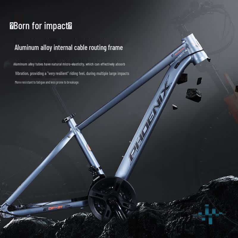 Phoenix Dongfeng 21 Mountain Bike