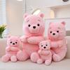 Cute Pink Teddy Bear Plush Toy For Birthday And Holiday Gifts Wholesale From Manufacturer