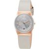 Skagen Women's Watch SKW3052 Grey