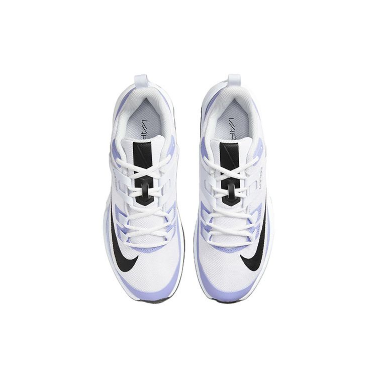 NikeCourt Vapor Lite Light Thistle DC3431-500