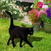 Acrylic Acrylic Cat Stake Waterproof Simulation Black Cat Statue Cat Garden Stake  Outdoor