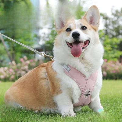 Neue Haustierleine Westenstil Hundebrust- und Rückenband Reflektierende Hundeleine Haustierbedarf