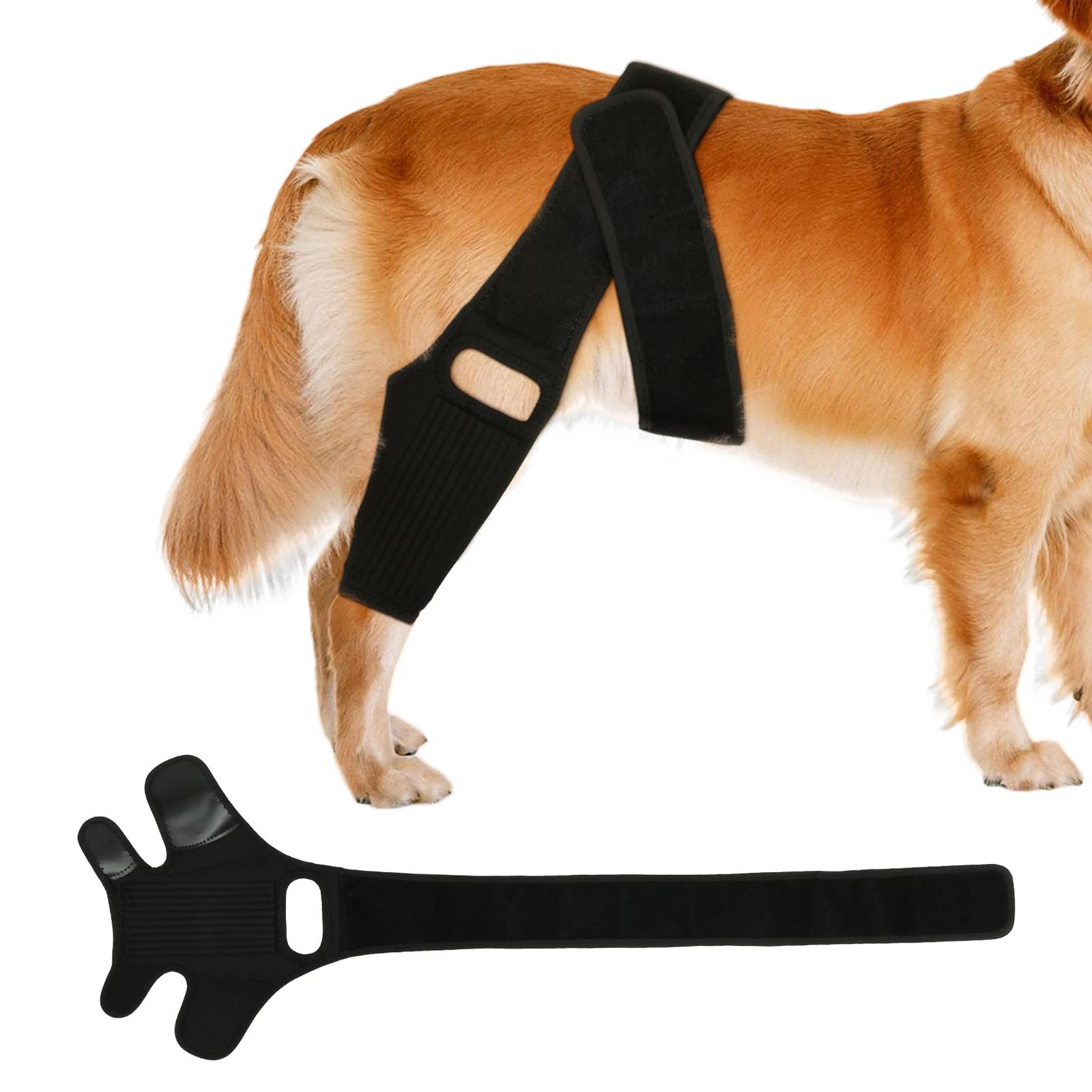 

Dog Knee Brace Support,Leg Hip Brace for Dog Hip Luxating Patella Post-operative Fixation,Help with Dogs Better Recovery S