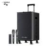 SANSUI E08 Portable Karaoke Speaker with Dual Microphones CN plug (adapter included)