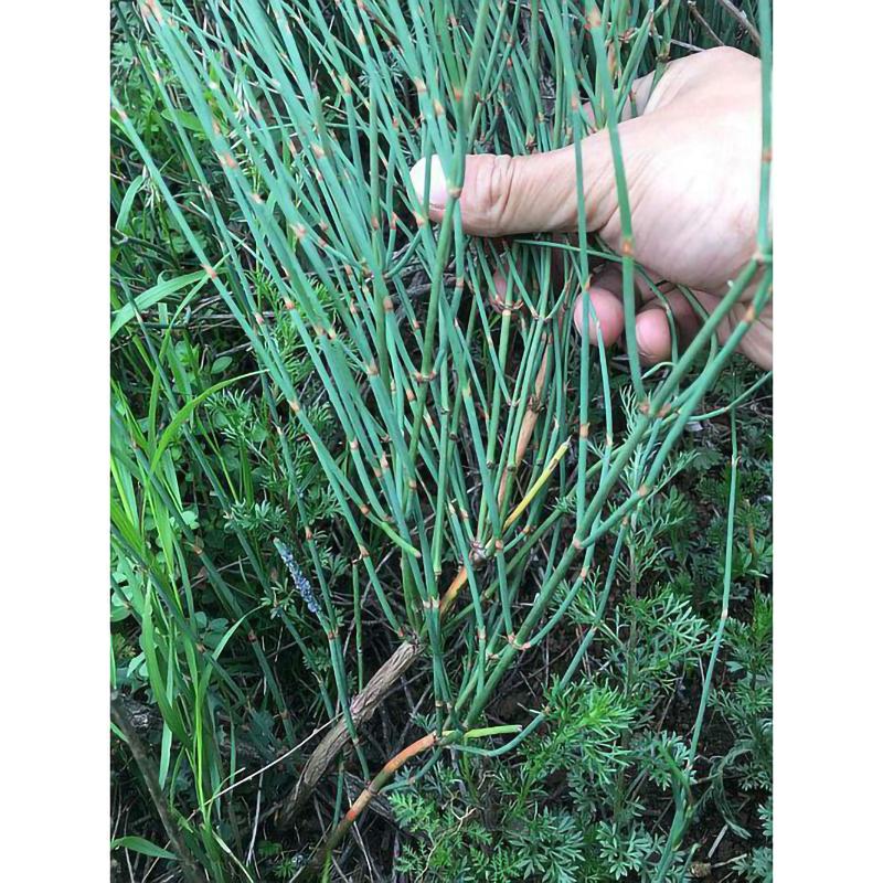 250 г Китайский зеленый чай Мохуан Травяной цветочный чай Натуральный травяной цветочный — фото 11