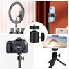 2 Pack Universal 1/4" Swivel Mini Ball Head Screw Tripod Mount, 360 Degree Rotating Mount Base Adapter for DSLR Cameras Tripods Monopods Camcorder