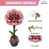 Wacocetoy Cross-Border Carnation Puzzle 3D Wooden Diy Coloring Toy 2-In-1 Set Handmade Puzzle