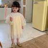 Kinder Kleidung Frühling Sommer Langarm Dünne Spitze Tüll Kleid Koreanischen Stil Mädchen Prinzessin Mode Süße Fee Mesh Kleider
