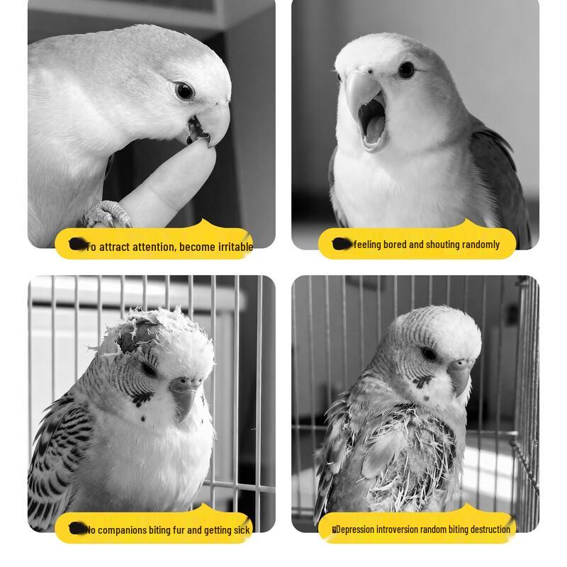 Vintage Bird Cage Perch with Mirror