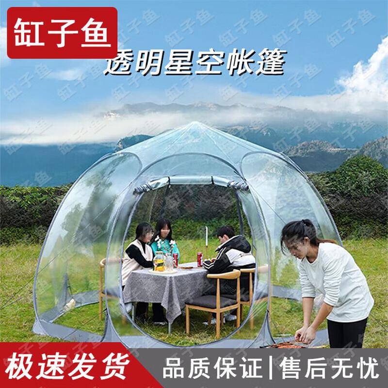 Transparent Starry Sky Portable Camping Tent