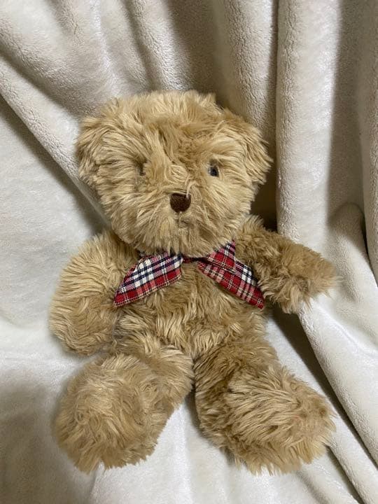 

[USED] Teddy bear brown