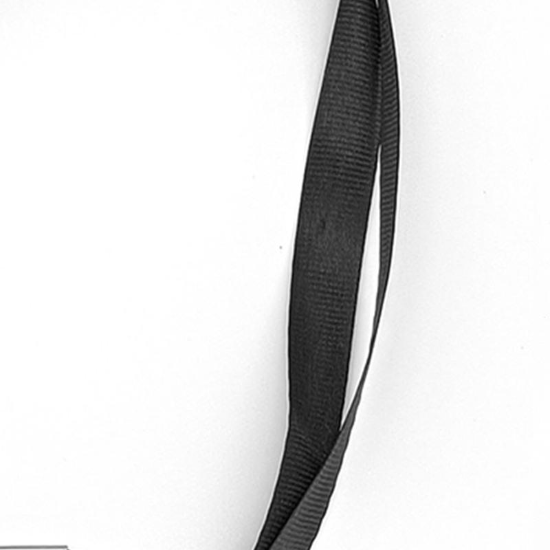 2Pcs Dog Training Whistle Ultrasonic Lightweight Sound Adjustable Portable Dog Whistle with Lanyard and Metal Ring