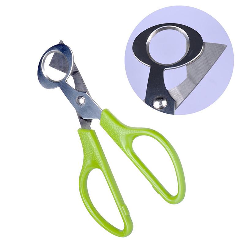 Bontand 1pc Stainless Steel Quail Egg Shell Cutters//quail Egg Scissors,Tool for Home Kitchen 14x6cm