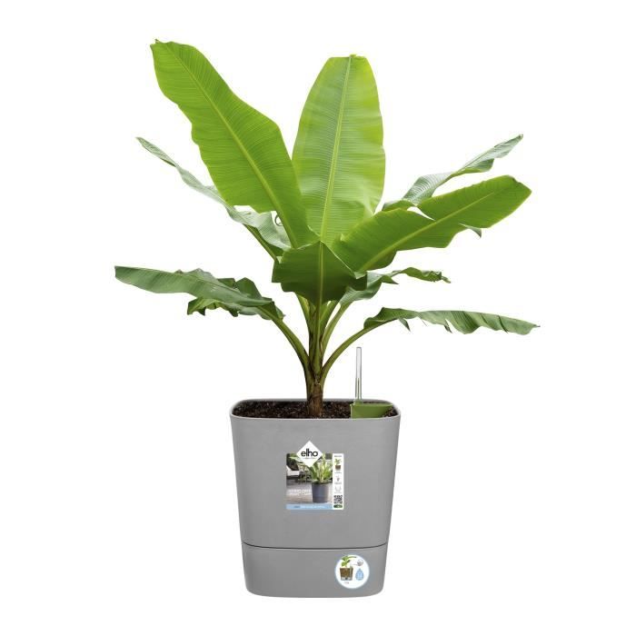 ELHO Pot De Fleur Carré Greensense Aqua Care - Ø 29,5 X H 30,2 Cm - 15 L - Vert Jungle