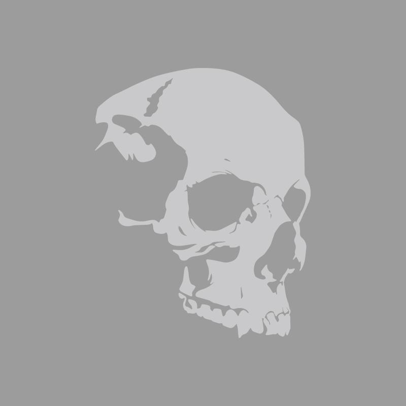 Craniu schelet cu textură avansată, modele aventură în aer liber, autocolante aventură în aer liber, decorațiuni cu tematică natură, vinil durabil