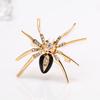 Fashion Spider Gift Women Collar Brooch Pin Clip Scarf Wedding Party Jewelry