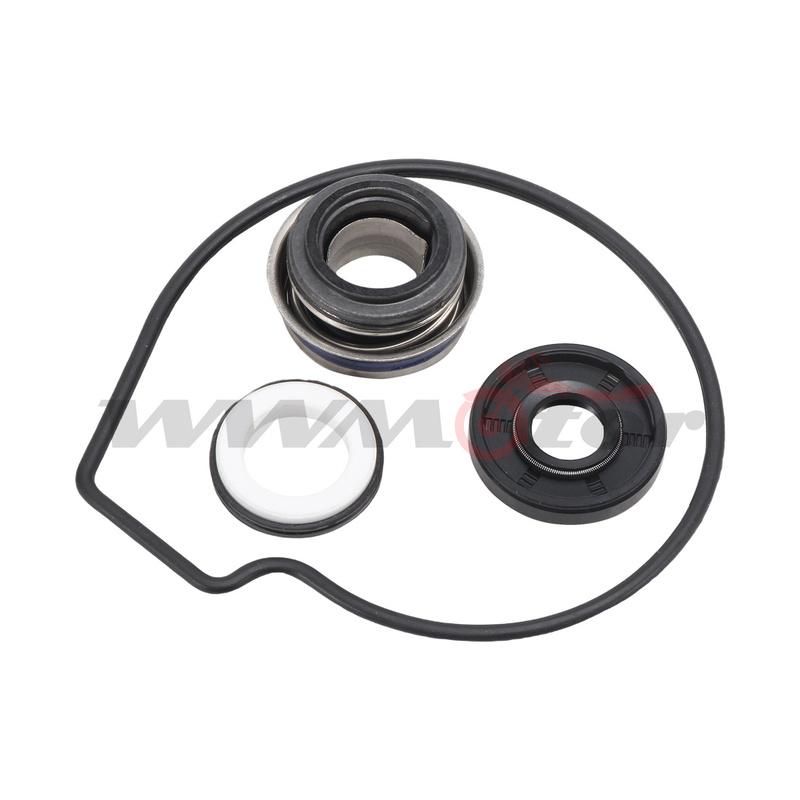 Water Pump Rebuild Repair Kit For Kawasaki Ninja ZX-6R ZX6R ZX636 2003-2004 Seal Oring Gasket Set