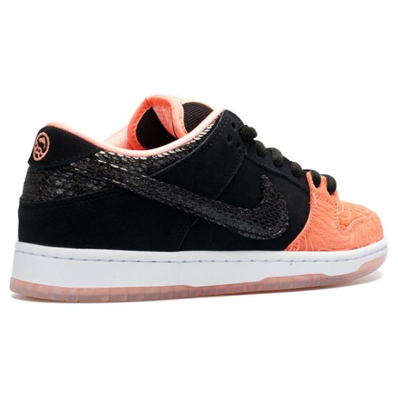 Nike SB Dunk Low Premier Fish Ladder Skateboard Shoes 313170-603
