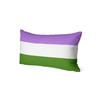 Aertemisi 20'' x 12'' Genderqueer Pride Flag Rainbow LGBT Rectangular Throw Pillow Cushion Covers Cases Pillowcases 50cm x 30cm