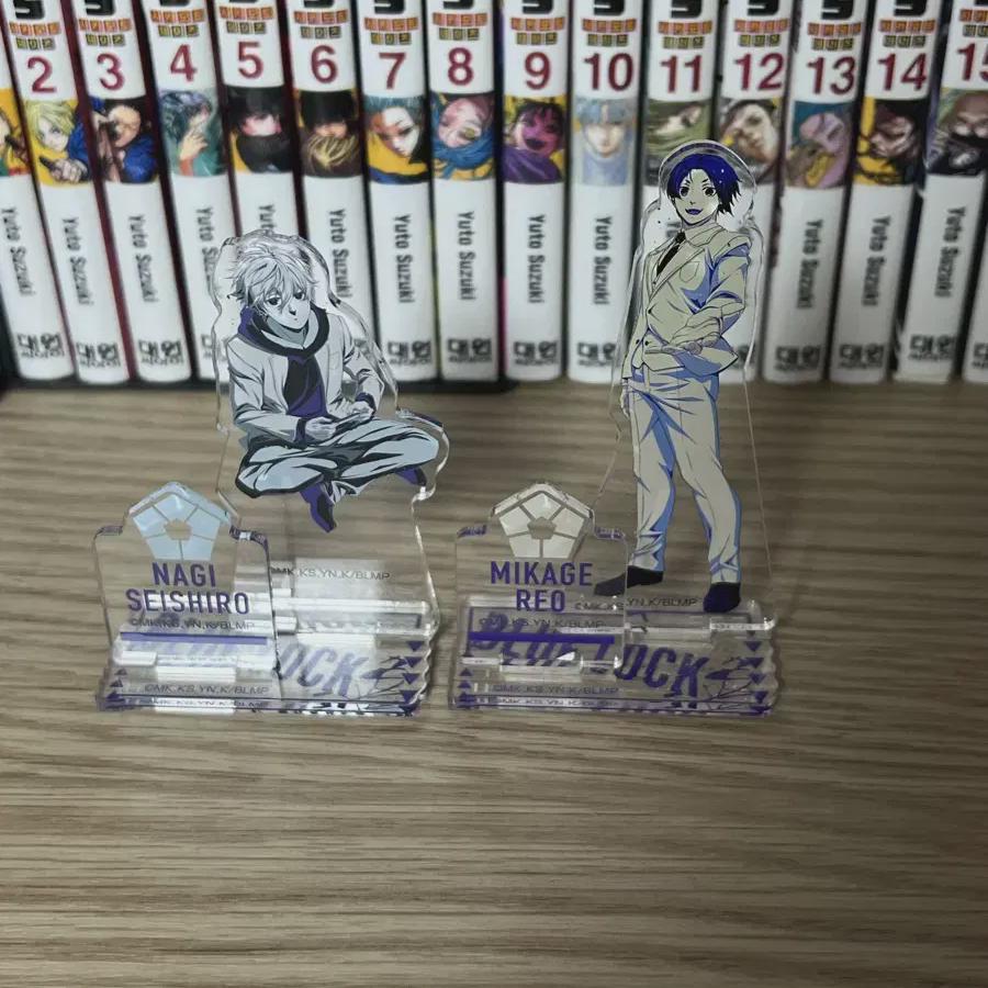 

Акриловая подставка Blue Rock Nagi Leo