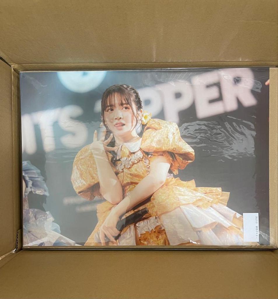 [USED] Chinzei Suzuka Online Fan Meeting A3 Poster
