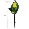 SITEDAN Solar Light, Squirrel Figurine Light, Frog Garden Light, Gardening Ornament, Outdoor Waterproof Garden Decoration (Frog)