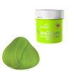 La Riche Directions Fluorescent Green 100