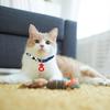 Cat Collar with Bell, 1 Pack Blue Japanese Style Waves Print Pet Collar Adjustable Cat Collar with Fortune Bell for Small Cats Puppy Pets, M