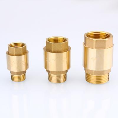 High Performance Brass Check Valve for Fuel Air Oil and Gas Applications