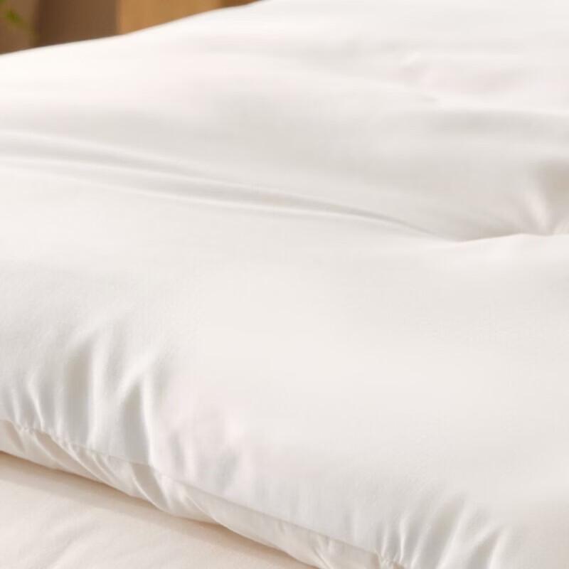 Grace Xihuai Antibacterial Washable Quilt