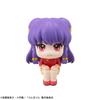 Rukappu TV Anime Shampoo Complete Figure "Ranma 1/2"
