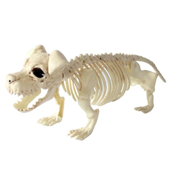Halloween Decoration Mini Skeleton Bone Statues Poseable Rat Dog Spider Cat Owl Skeleton Figurine for Haunted House Party Decor